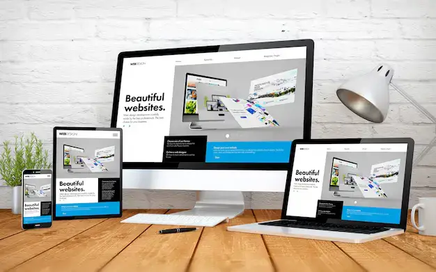 Professional web design services in Sandton building modern business websites
